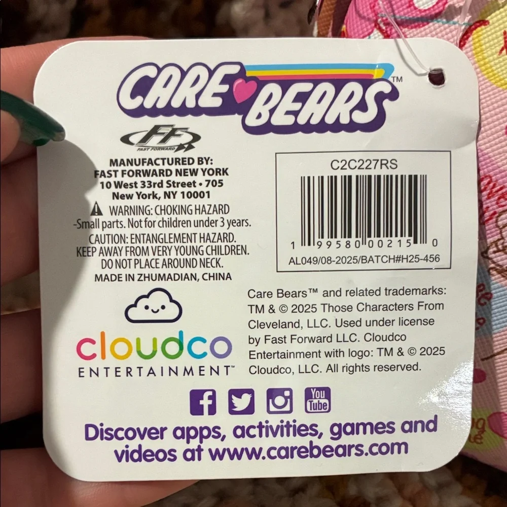 Care Bears Pink and Purple Kids Accessory Bag